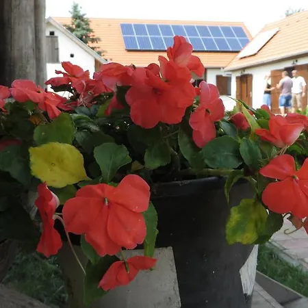 Guest house Eszter-haz Vendeghaz Kerekegyhaza